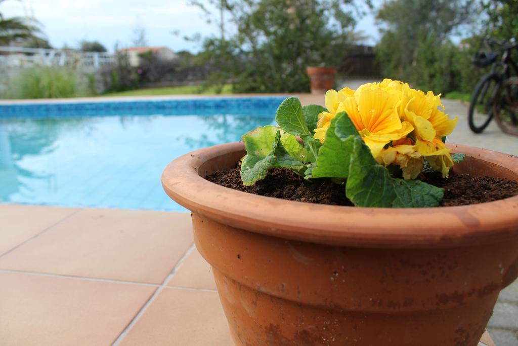 Felia Villa สตาวรอช ภายนอก รูปภาพ