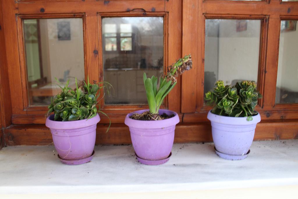 Felia Villa สตาวรอช ภายนอก รูปภาพ